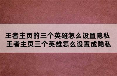 王者主页的三个英雄怎么设置隐私 王者主页三个英雄怎么设置成隐私